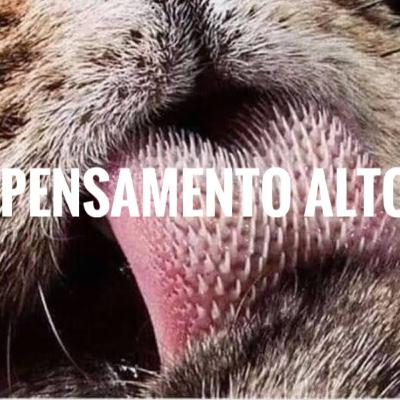 Invenções repetidas Invenções repetidas