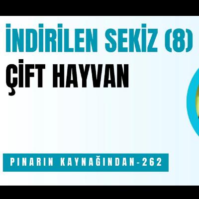 İNDİRİLEN SEKİZ ÇİFT HAYVAN