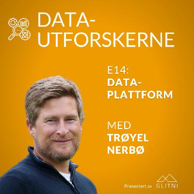 Dataplattform med Trøyel Nerbø