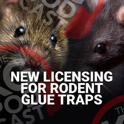 Episode 38 – New Licensing for Rodent Glue Traps