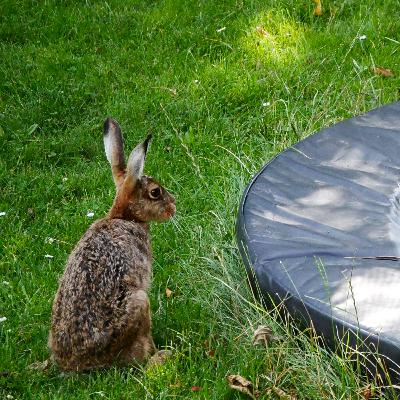 Thank you, Mr President