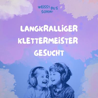 Wolkenkratzer