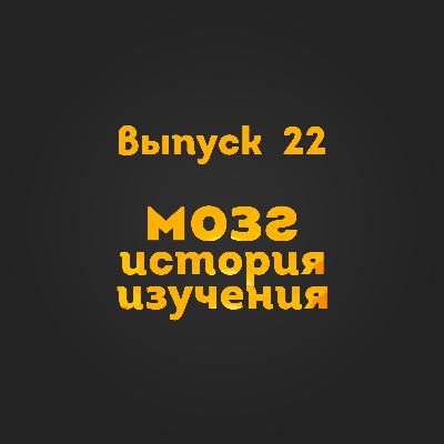 Выпуск 22: Мозг. История изучения Выпуск 22: Мозг. История изучения