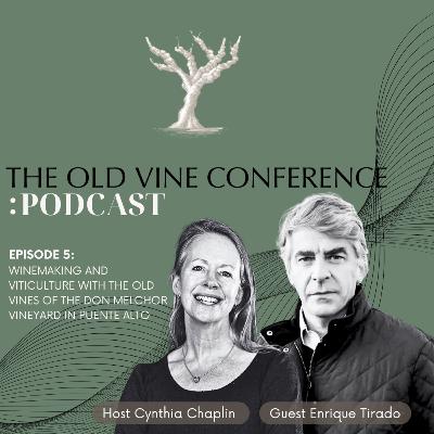 Ep. 5 Winemaking and viticulture with the old vines of the Don Melchor vineyard in Puente Alto - The Old Vine Conference Podcast Ep. 5 Winemaking and viticulture with the old vines of the Don Melchor vineyard in Puente Alto - The Old Vine Conference Podcast