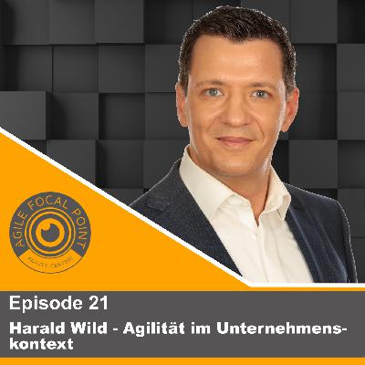 Episode #21 – Harald Wild – Agilität im Unternehmenskontext