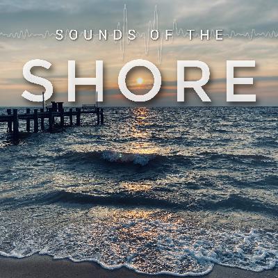 Ocean Waves on the Shore (1 Hour)