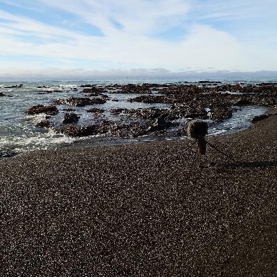 181: Lost Coast- Outgoing Tide On A Winter Afternoon