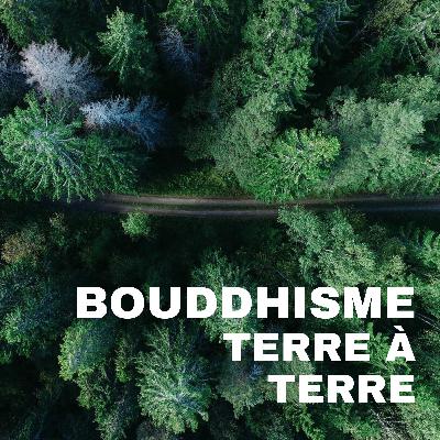 Devenir le guide de sa vie en commençant par nos intentions