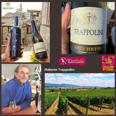 Le Terre del Vino: TRAPPOLINI (Alta Tuscia) - 40° Festa del Vino Colli del Tevere