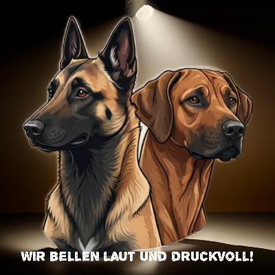 Folge 1 - Vorstellungsrunde