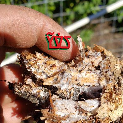 Bioremediation Wrap Up: Helping Nature Do The Damn Thing part 4