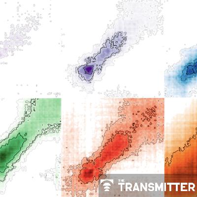 Shifting neural code powers speech comprehension