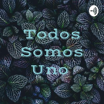 Vamos esto si se puede