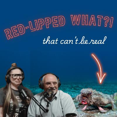 [Ep.93] Cream Parties, Blown Tests, and Red-Lipped Fish! Porch Laughs You Won’t Forget!
