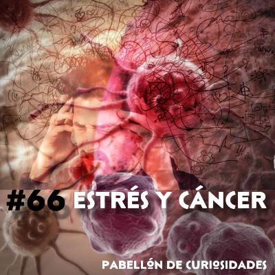 #66. Estrés y Cáncer