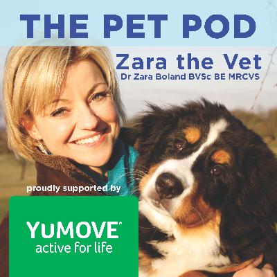 The YuMOVE Story with John Howie