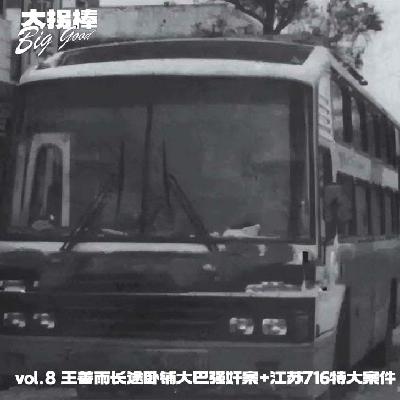 vol.8 大巴车上的四十个人形木偶:王善雨长途卧铺大巴案+江苏716特大案件 vol.8 大巴车上的四十个人形木偶:王善雨长途卧铺大巴案+江苏716特大案件