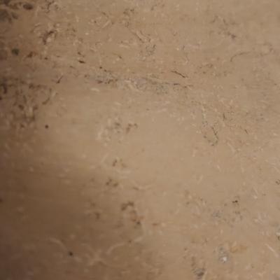 Sorry, diesen Podcast gibts nicht mehr