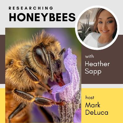 Honeybees