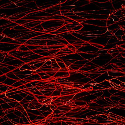 HORROR IN THE MOUNTAINS