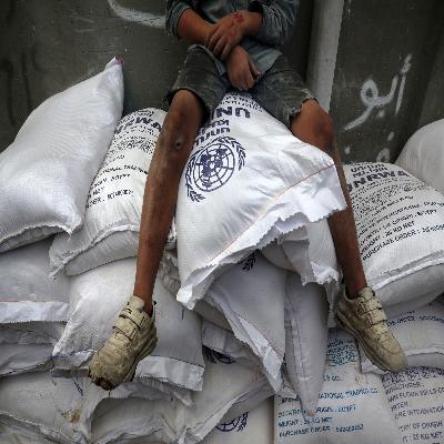 The Role of Local Humanitarian Actors in a Middle East under Transformation