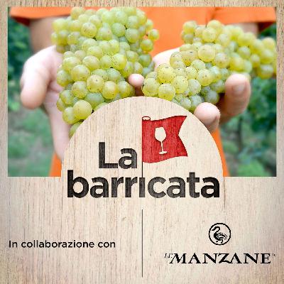 I vitigni resistenti (con Nicola Biasi), vini di montagna e un evento a Trieste - La barricata, 15