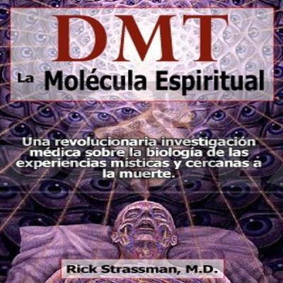 DMT - La molécula del espíritu