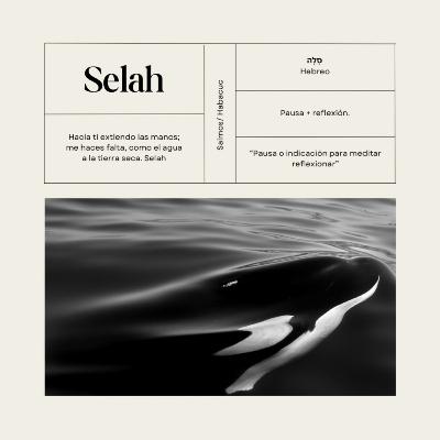 Lo que NADIE te cuenta de los hospitales 🏥 (Parte 1) | Selah Podcast (Bonus) Lo que NADIE te cuenta de los hospitales 🏥 (Parte 1) | Selah Podcast (Bonus)