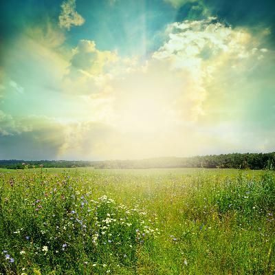 Morning Gratitude Morning Gratitude