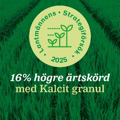 103: 16% högre ärtskörd med Kalcit granul