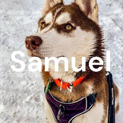Samuel (Trailer)