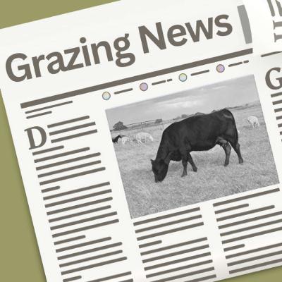Week of January 2, 2023 Grazing News