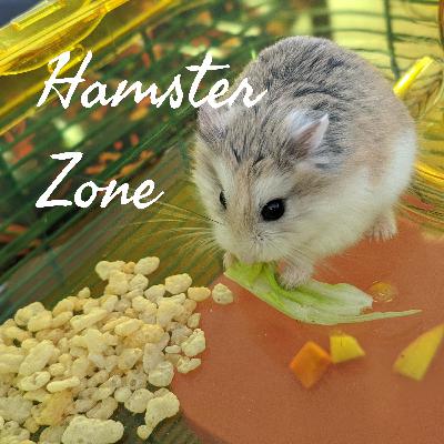 03: The hamster's friends