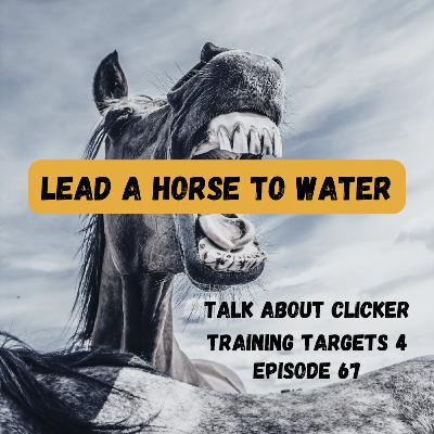 Talk about clicker training targets; it's a wrap