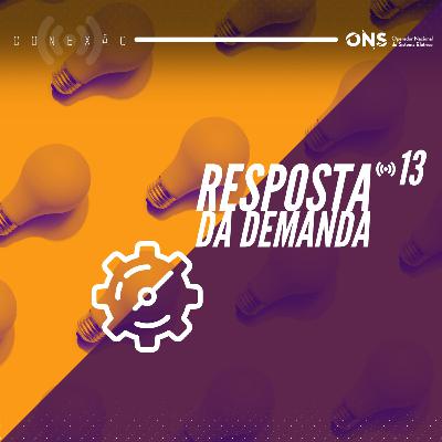 Conexão ONS #13: Resposta da Demanda - Programa D-1