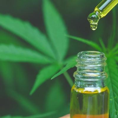 Perché l'Italia ha messo fuorilegge la cannabis light?