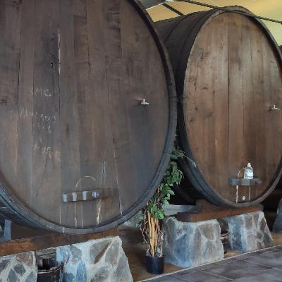 #27 Wie ein Ökosystem für Innovation & Weltveränderung entstand | Dominik Hofmann Heimathafen #27 Wie ein Ökosystem für Innovation & Weltveränderung entstand | Dominik Hofmann Heimathafen