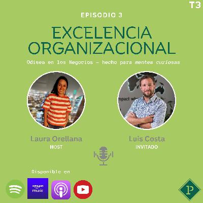 Excelencia Organizacional