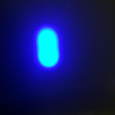 SCP Tale: Project Hellhound