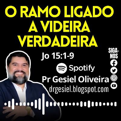 O ramo ligado a videira verdadeira -Jo 15:1-9
