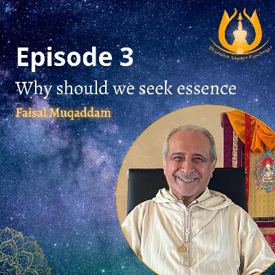 Why should we seek essence
