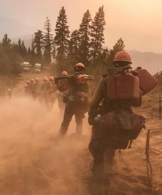 Episode 464 - Wildfires, community and cortisol