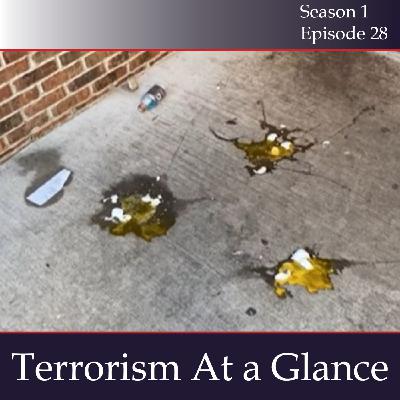 Episode 28: Terrorism At a Glance - October 4, 2022