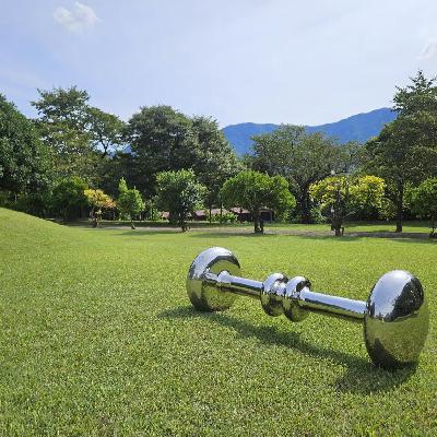 71 中国策展人如何拿下韩国顶级双年展？