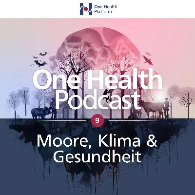 Moore, Klima & Gesundheit