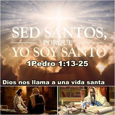 02-Dios nos llama a una vida Santa.mp3