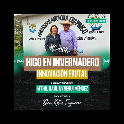 Episodio #19. Producción de higo en invernadero