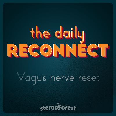 Vagus nerve reset exercise and finding your place in collective action