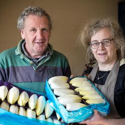De Streekshow - Aflevering 8 - Grondwitloof Schoevaerts - Hoogeras