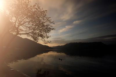 Therapeutic Photography with Tracy Anderson